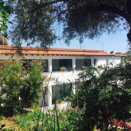 Villa Meroulas Megali Ammos  Luaran gambar