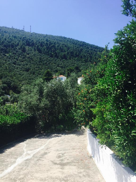Villa Meroulas Megali Ammos  Luaran gambar